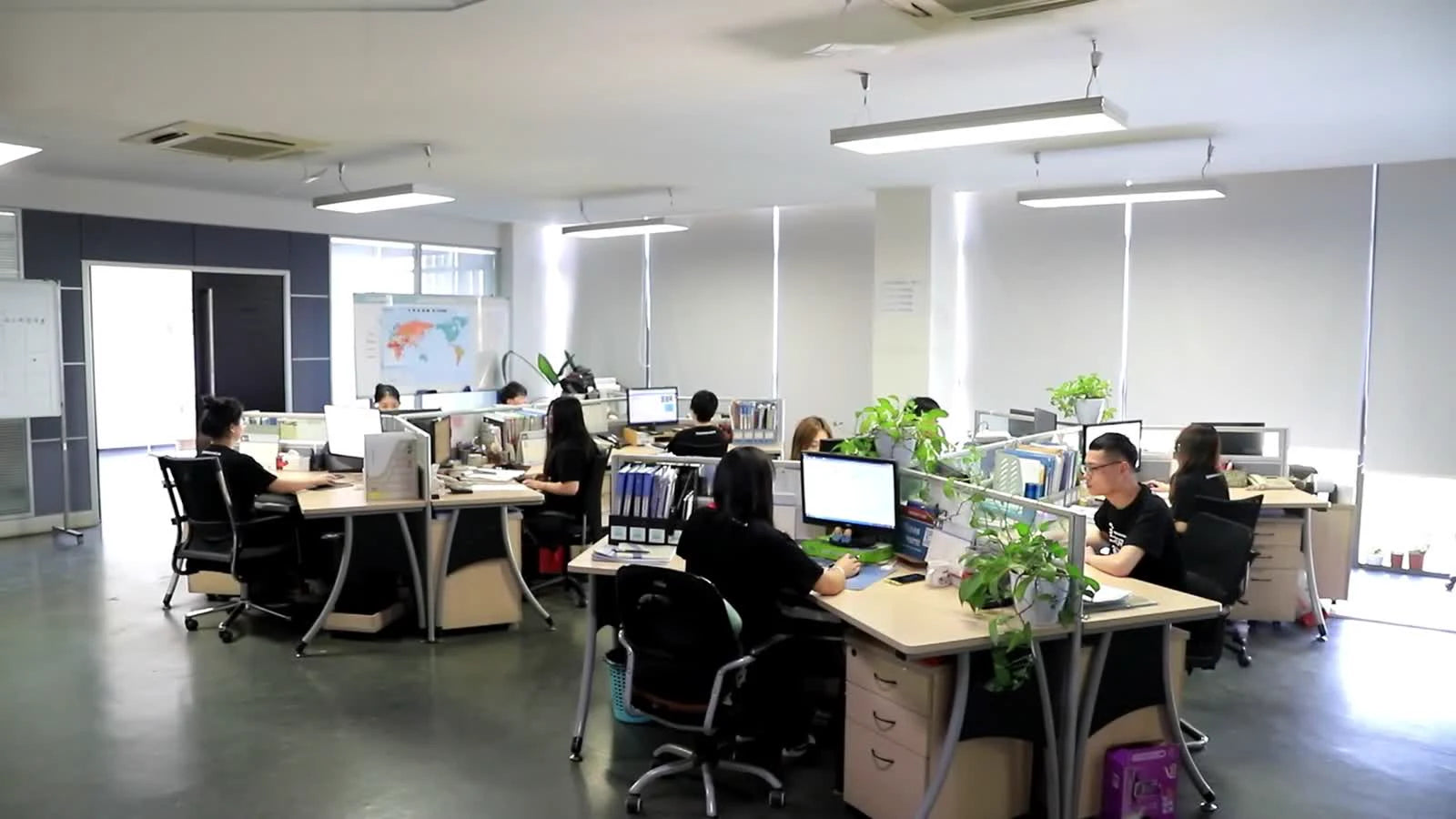 ZUPPER team working in the company office